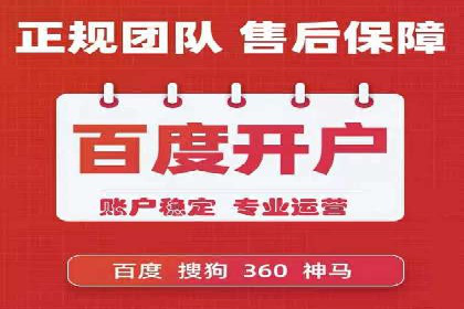 SEM服务公司助力品牌崛起案例